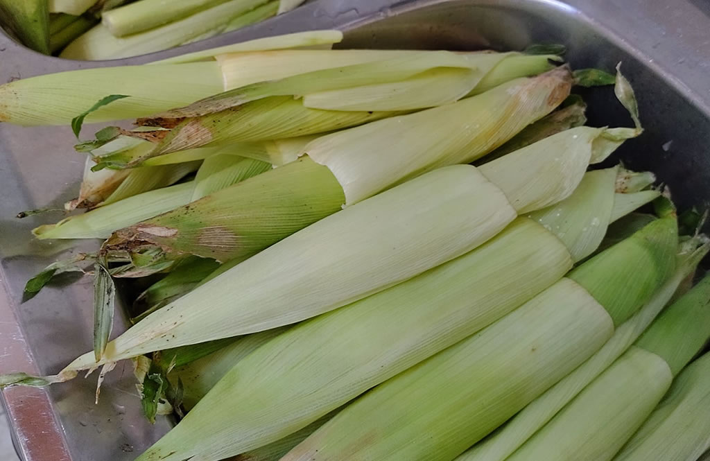 Hojas de choclos para humitas